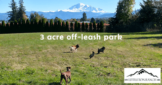 banner image for: A 40-Acre Ranch Becomes a Lifeline: Littleton Ranch Opens Boarding Services and Launches Rescue Resource Ranch to Support Dogs in Crisis